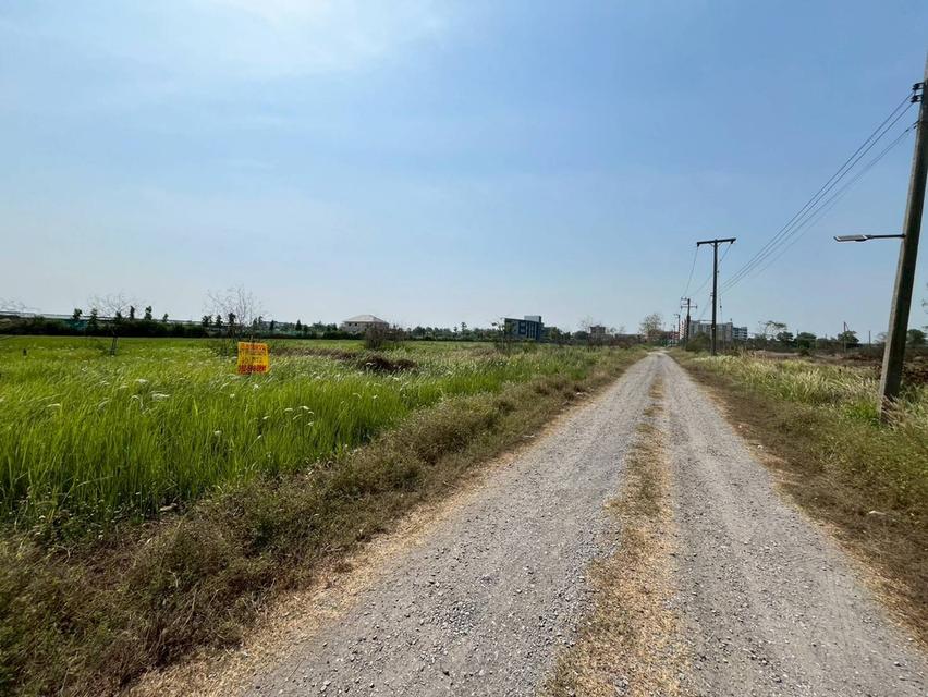 ขายที่ดินเปล่า ซอยขุนเดช 1 องครักษ์ นครนายก องครักษ์ นครนายก 3