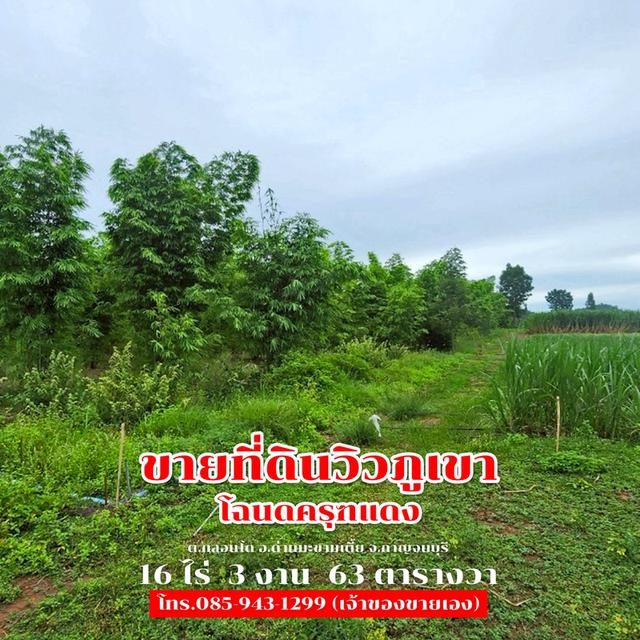 ขายที่ดิน 16 ไร่ 3 งาน 63 ตารางวา ติดถนนลาดยาง วิวภูเขา จ.กาญจนบุรี 30,000,000 บาท 9