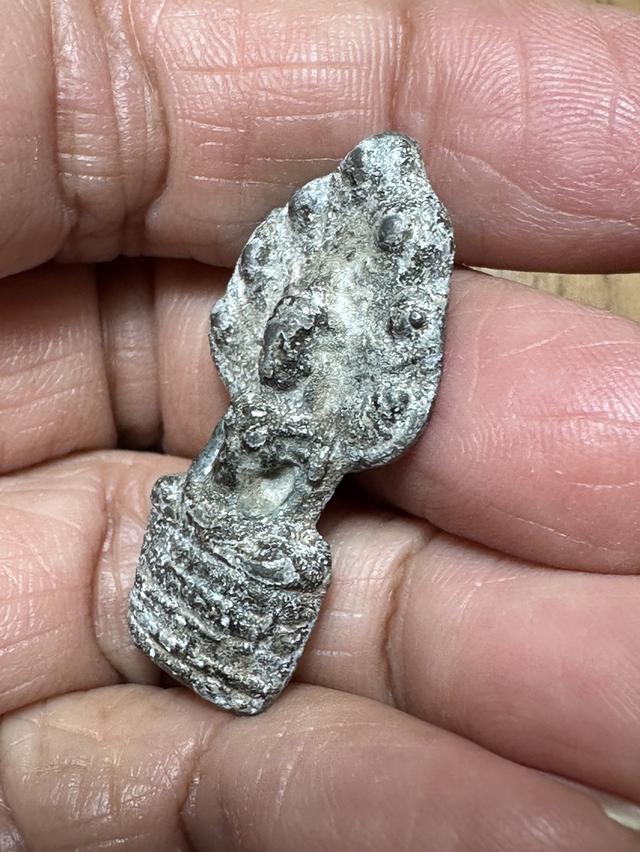 🙏พระคงลำพูน🙏พระกรุเนื้อชิน องค์ละ 800 รูปที่ 14