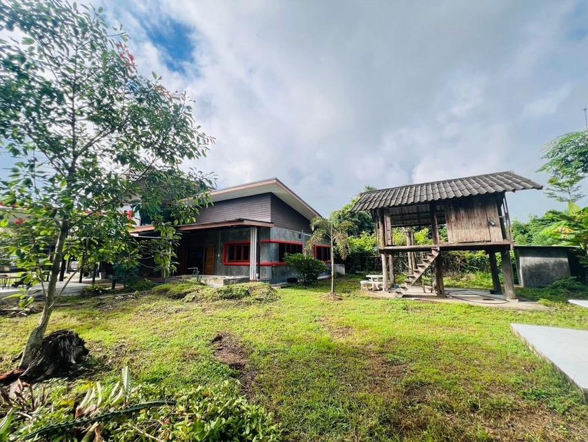 ขายบ้านพร้อมที่ดิน แถวสันกำแพง เชียงใหม่ 6