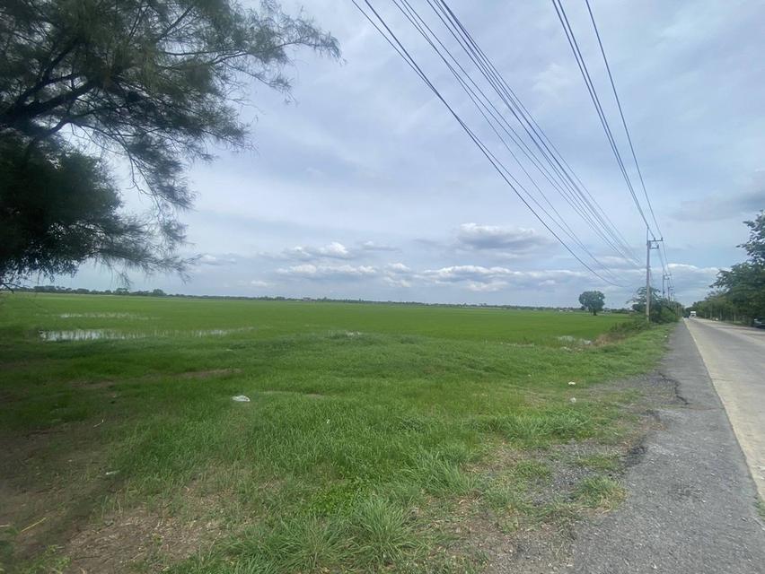 ขายที่ดินปทุมธานี รังสิตคลองสี่ 19 ไร่  ไร่ละ2.5 ล้าน 3