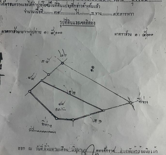 ขายที่นาด่วน