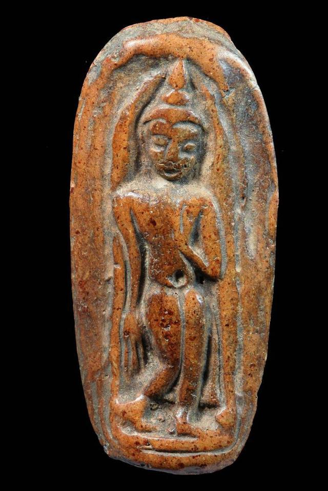 #ขออนุญาติ 🪴เปิดแบ่งปัน สนในกดทักแชทมาได้เลยคะ🌻🌻