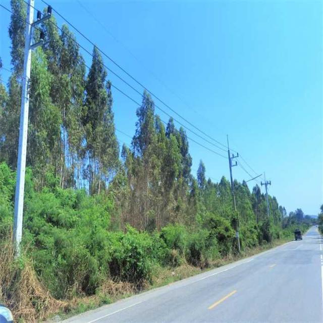 รูป ขาย ที่ดิน ME227 แปลงใหญ่ ทำเลดี มีไฟฟ้า 3 เฟส หนองอิรุณ บ้านบึง ชลบุรี. 19 ไร่ 1 งาน 13 ตร.วา ถนนกว้าง 8 m ห่างถนน 331 