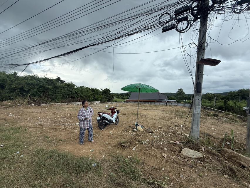 ที่ดิน 5