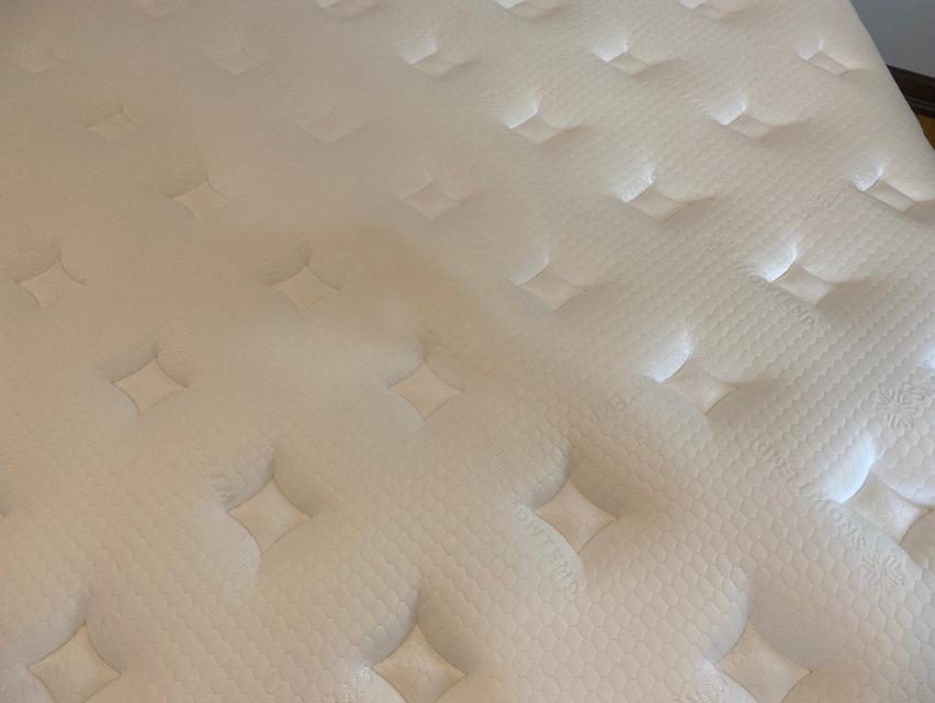 ขายที่นอน Dunlopillo รุ่น Frostburg Talasilver Latex Collection ขนาด 5 ฟุต รูปที่ 6