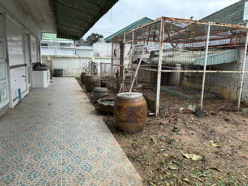 บ้านเดี่ยวหมู่บ้านชาลิตา 2 บางละมุง ชลบุรี เนือ้ที่ 142 ตรว. 14