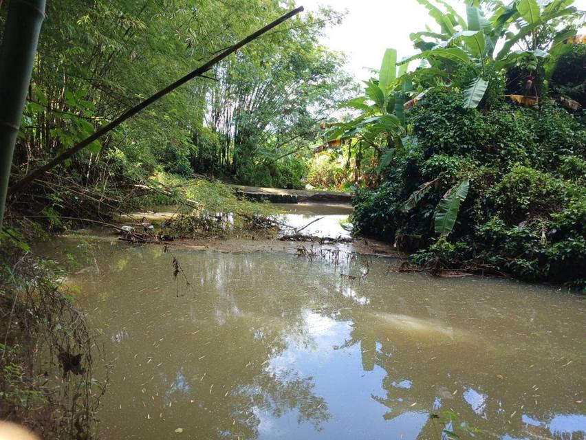 ขายที่ดินแปลงใหญ่ พร้อมสวนผลไม้ อยู่ติดถนนลาดยาง ราคาต่อรองได้ 1