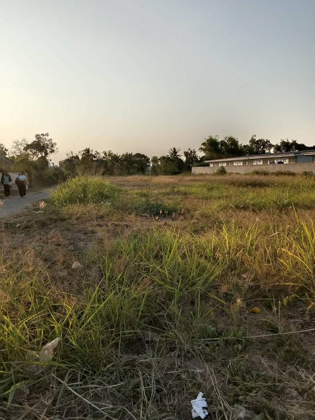 ที่ดินสวย โฉนดครุฑแดง ต.นากลาง อ.สูงเนิน จ.นครราชสีมา อยู่ติดชุมชน ตรงข้ามกับ อบต.ต.นากลาง ห่าง ตลาด, 7-11, CJ ไม่ถึง500 เมตร ใกล้นิคมอุตสาหกรรมนวนคร 10