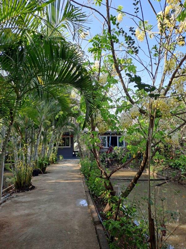 ขายบ้านเดี่ยว 1 ชั้น หมู่บ้านหนองสรวง อ.ศรีประจันต์ สุพรรณบุรี ใกล้โรงเรียน โรงพยาบาล ตลาด โทร 0869220218 18