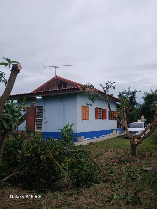 ขายถูก!!!!ที่ดิน 3 ไร่ 98 ตร.ว พร้อมบ้านสวน หมู่ที่ 4 ต.ศรีประจันต์ อ.ศรีประจันต์ จ.สุพรรณบุรี 4