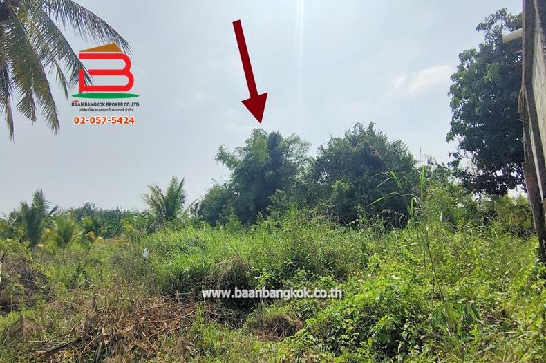 ที่ดินเปล่า บ้านหนองหัวเรือ ซ.6 เนื้อที่ 116 ตรว.ทางหลวงชนบท นว.3102 อ.เก้าเลี้ยว จ.นครสวรรค์