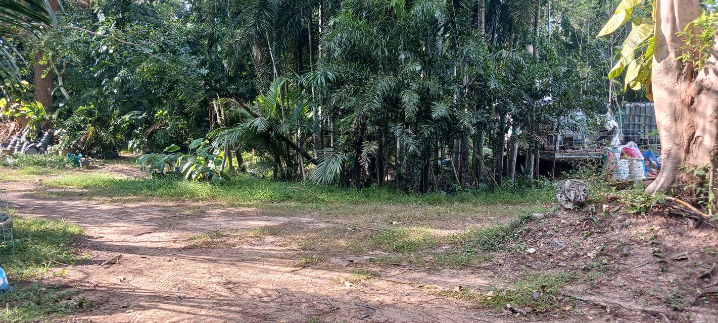 ขายที่ดินซอยสยามคันทรีคลับ 8