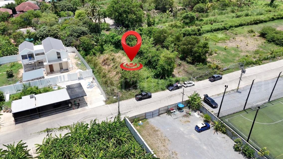 ที่ดินผังสีม่วง 200 ตร.วา ซอยเอกชัย 76/1 บ้านธนบดี - บางบอน 1 4