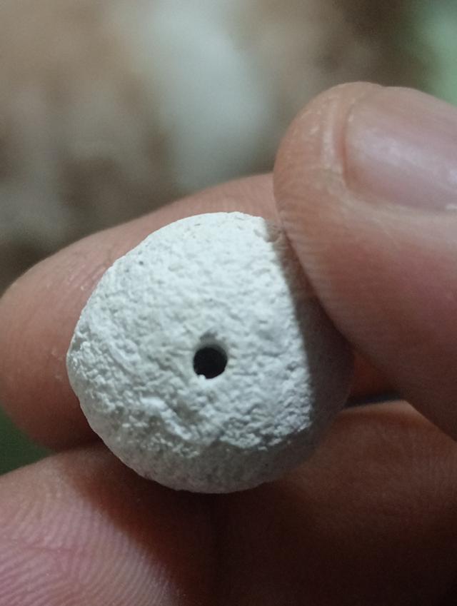 ลูกอมหลวงปู่ดู่ วัดสะแก 8