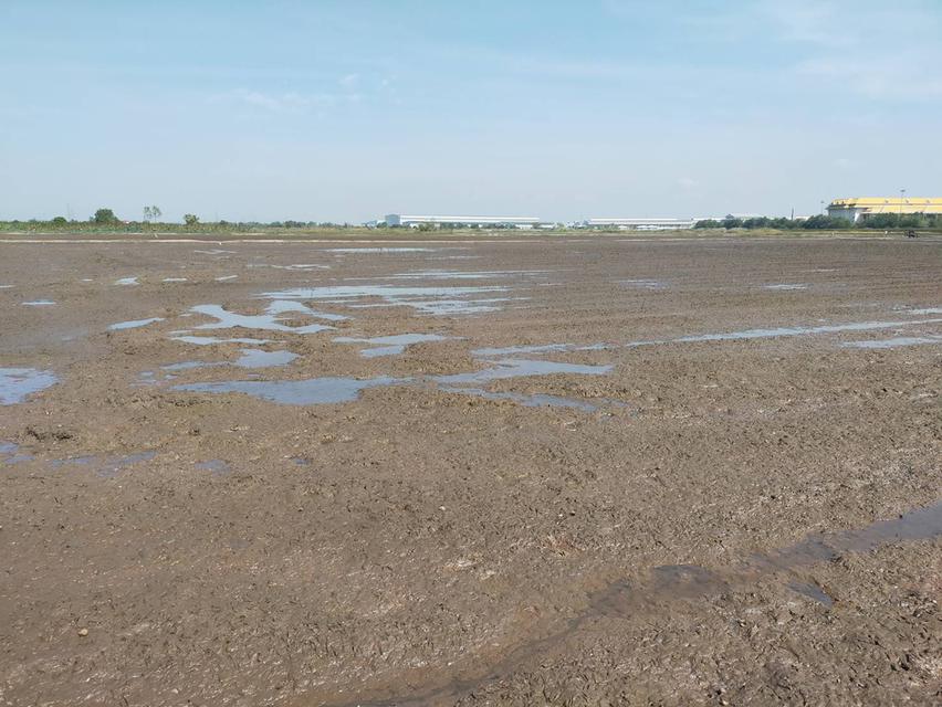 ต้องการขายที่ดิน ใกล้ทางด่วนบางปะอิน-โคราช  บางปะอิน  33 ไร่ 2 งาน 2 ตรว 5