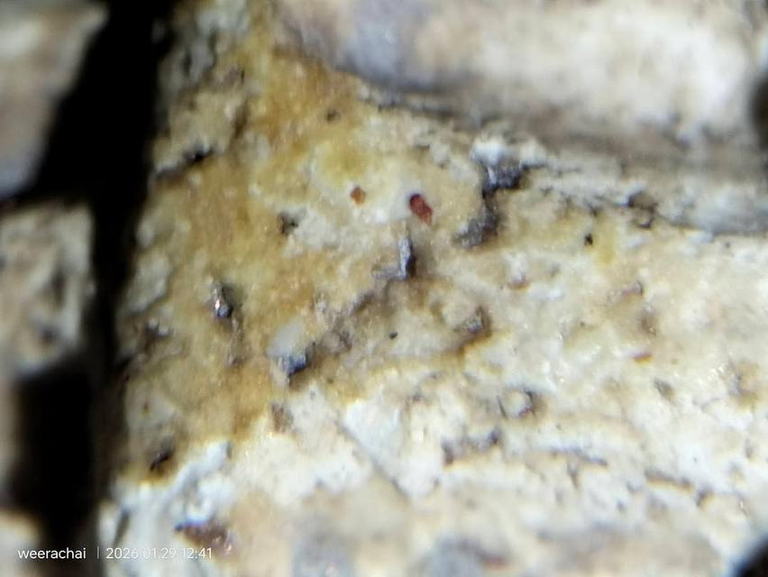 พระสมเด็จวัดระฆังพิมพ์เกศบัวตูม รูปที่ 3