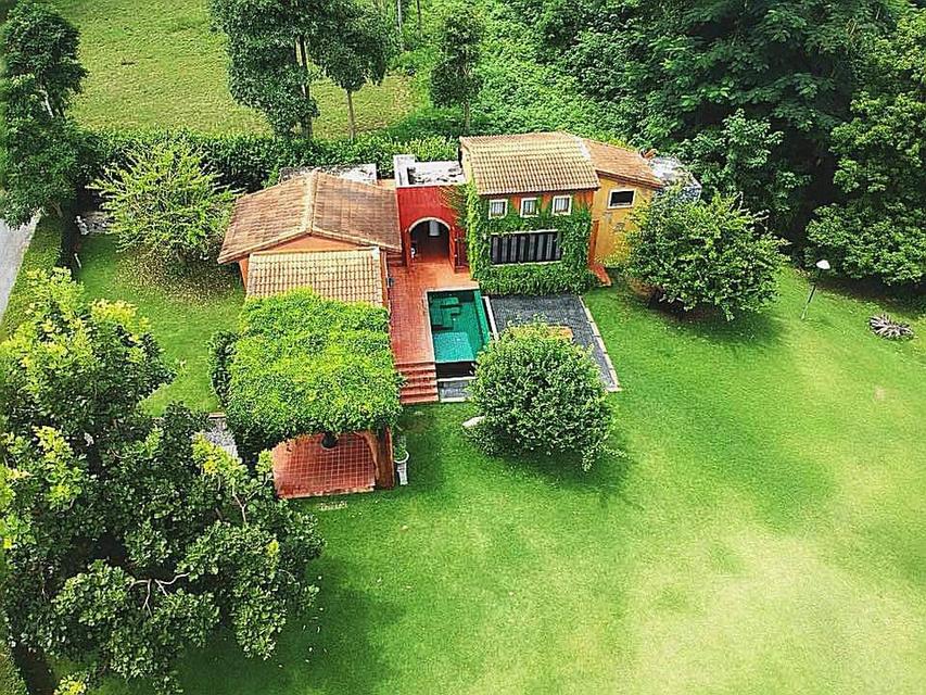 ขายบ้านเขาใหญ่ Private Pool Villa เขาใหญ่ ที่ดิน 310ตร.ว ที่ติดน้ำ สวยมาก ทำเลดีโครงการติดถนนธนะรัชต์ ใกล้มิดวินเทอร์ ดำเนินกิจการต่อได้เลย 0879074045 19
