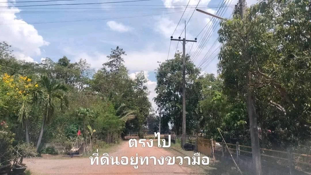 ขายที่ดินหมู่บ้านมณฑพัฒนา อ.เชียงยืน จ.มหาสารคาม 7