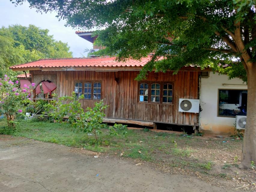 บ้านพร้อมที่ดิน ที่พิษณุโลก 8