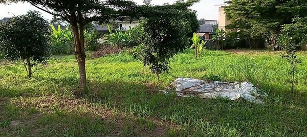 ขายที่ดิน อำเภอเมืองพะเยา 1 ไร่ โฉนด พร้อมโอน โทร 0817830178 4