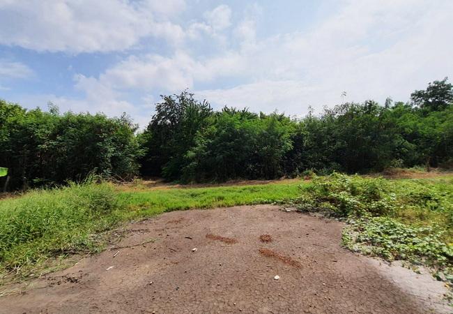 ขายที่ดิน ถนนฤชุพันธ์(บางบัวทอง-สุพรรณบุรี) ตำบลไทรใหญ่ อำเภอไทรน้อย นนทบุรี 8