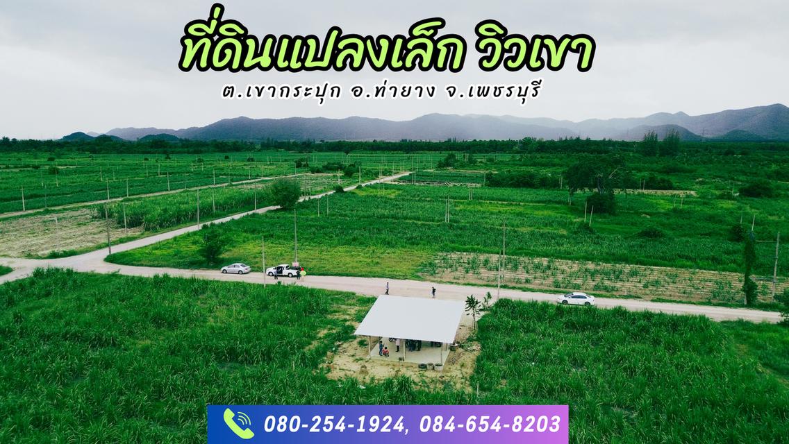 ที่ดินวิวเขากระปุก 100ตร.วา 160,000฿ ใกล้โครงการชั่งหัวมัน ท่ายาง เพชรบุรี 8