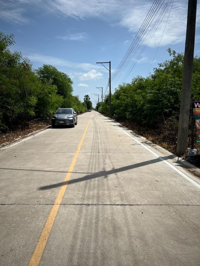 ขายที่ดินถมแล้ว 247 ตรว. ติดถนนคอนกรีต ถ.เลียบคลองบางโพธิ์ใต้ ปากซอยทับทิมแลนด์ 2 หมู่ 7 ปทุมธานี 8