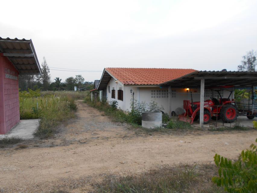 ขายที่ดิน 10 ไร่ พร้อมบ้าน ติดลำห้วย 3 สาย ต.บ้านบึง อ.บ้านคา จ.ราชบุรี 15