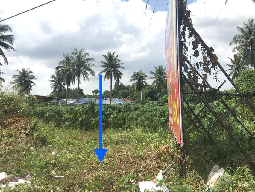 ขายที่ดินตะเคียนเตี้ย 8ไร่ ติดถนนคู่ขนานมอเตอร์เวย์ (7)ผังเมือง EEC สีเหลืองอ่อน ตำบลตะเคียนเตี้ย อำเภอบางละมุง 3