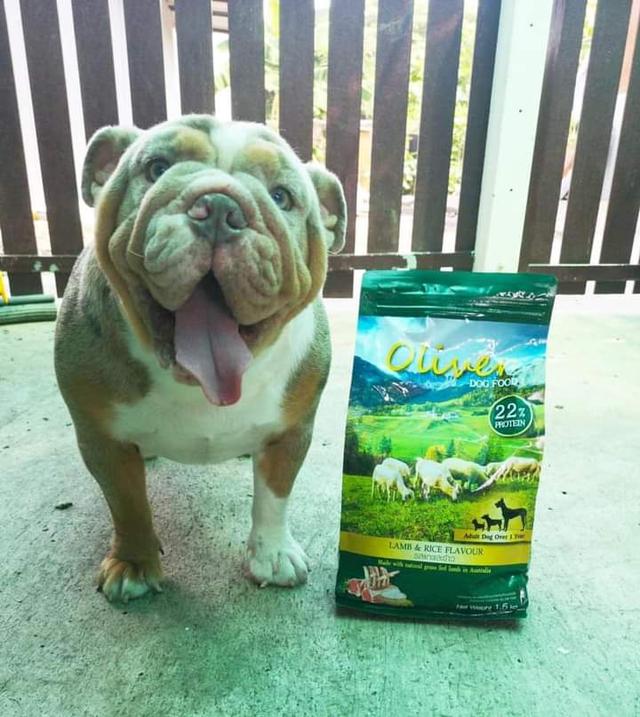 Oliver Dog Food 3