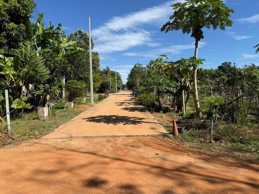 ขายที่ดิน เนื้อที่ 4ไร่ 2งาน 11วา หนองปรือ พนัสนิคม ชลบุรี 🏔️⛰️ สนใจติดต่อได้นะคะ 0958459574 โอ๊ต 3