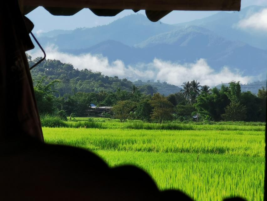 ที่ดิน จ.ลำปาง ที่นา วิวสวยบรรยากาศดี 7