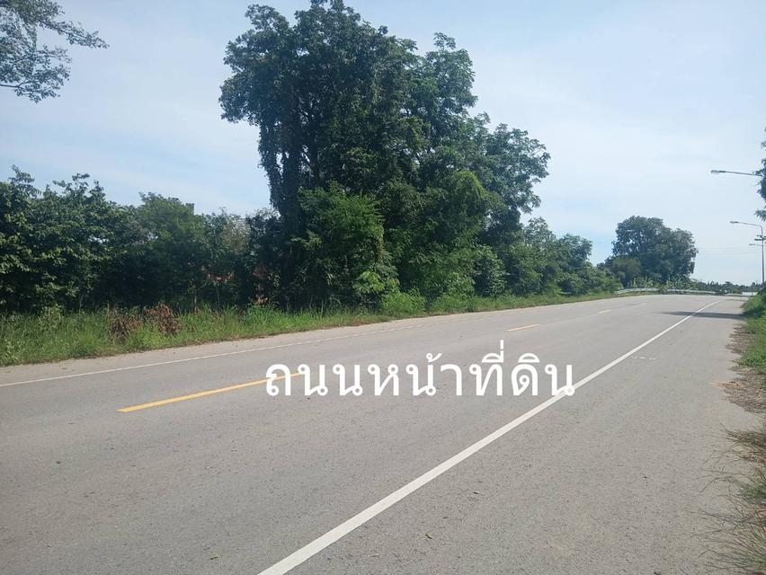 ขายที่ดิน 3 ไร่ ต.บ้านโสก อ.คอนสวรรค์ ชัยภมิ ติดถนนดำมีน้ำไฟขาย 1.2 ล้าน 5