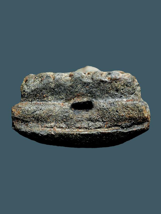 หลวงปู่ทวดเนื้อว่าน รุ่นแรก วัดช้างให้ พิมพ์กรรมการ ปี ๒๔๙๗...เก่า เนื้อจัดๆ 6