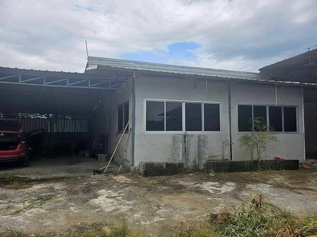 ขายโกดังพานทองชลบุรี #ขายที่ดินพร้อมโกดัง บนเนื้อที่ 2 ไร่ พื้นที่ใช้สอย 1,100 ตรม ผังสีส้ม 3