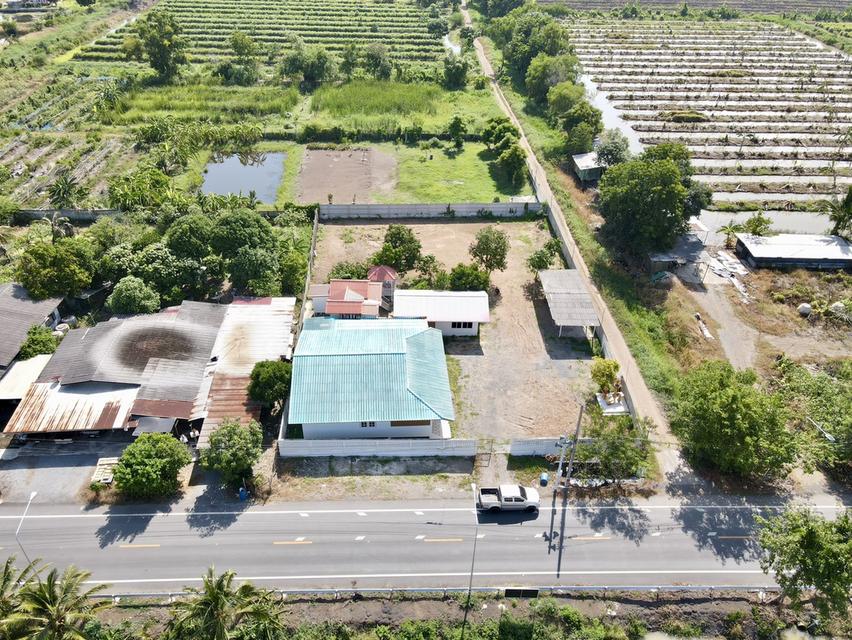 ขายบ้านสวนเนื้อที่ 1 ไร่ 38 ตรว.พร้อมบ้าน คลอง 11 อ.หนองเสือ จ.ปทุมธานี 6