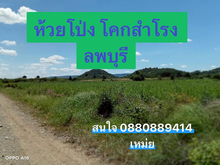 ที่ดิน ห้วยโป่ง โคกสำโรง จ. ลพบุรี 3