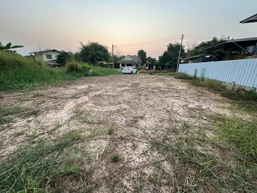 ที่ดินในเขตเทศบาลวัดโบสถ์ อำเภอวัดโบสถ์ จังหวัดพิษณุโลก 7