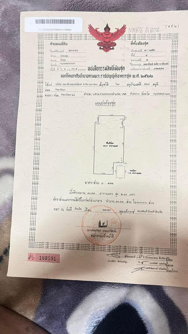 เดอะคิทส์พลัส นวมินทร์ 15