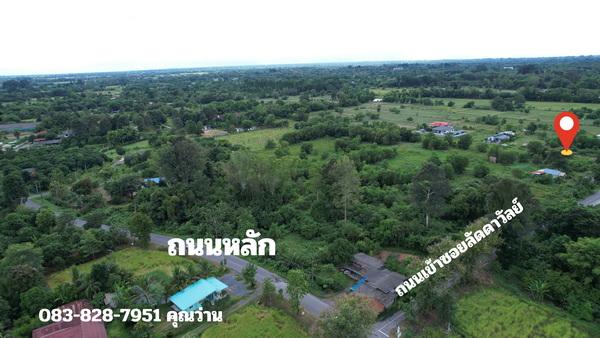 ขายที่ดิน 100 ตารางวา มีโฉนด ตำบลพรหมณี ใกล้สนามกอล์ฟ (จปร.) ติดถนนสาธารณ วิวเขา ขายถูก 11