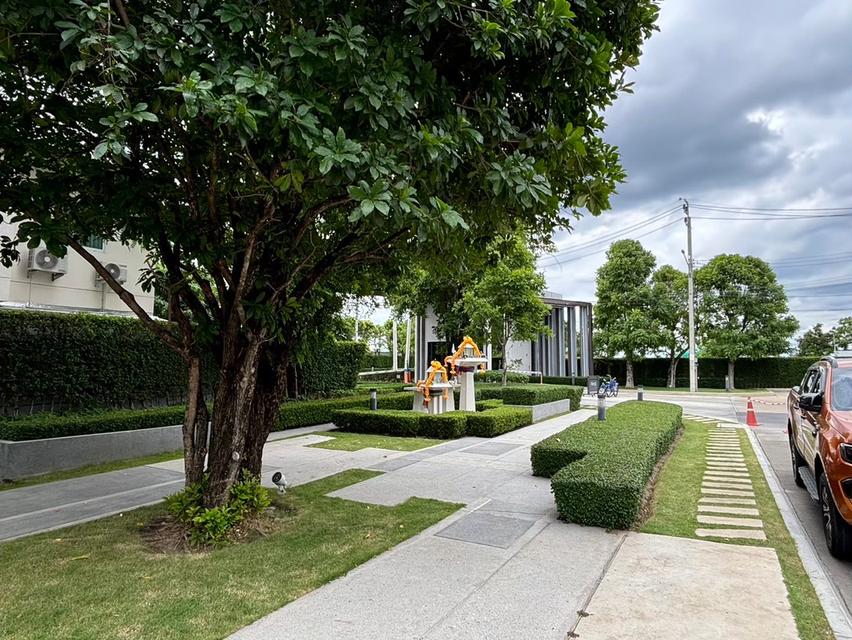 ขาย บ้านทาวน์โฮม 2 ชั้น Pleno ชัยพฤกษ์-แจ้งวัฒนะ (ใกล้ BTS สายสีชมพู - สถานีแยกปากเกร็ด) 2