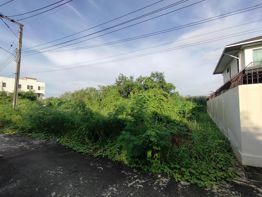 ขายที่ดิน103 ตรว. ซ.ทวีวัฒนา-กาญจนาภิเษก 6/1 (ซอยสิริฉัตร) ถ.พุทธมณฑลสาย2 กทม. 44,000บาท/ตรว. 5