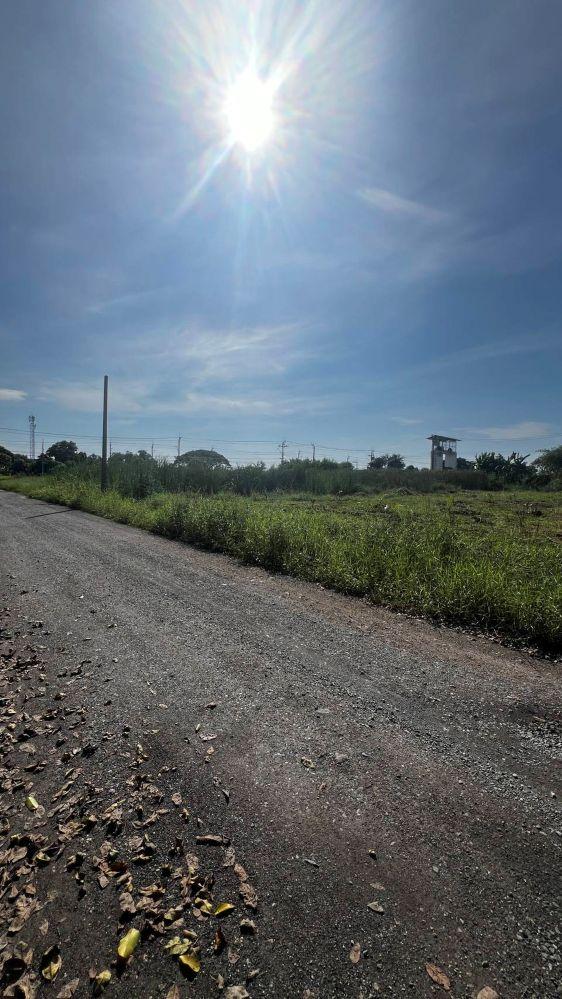 ขายที่ดินเปล่าถมแล้ว 4 ไร่ 73 ตารางวา ทำเลดีติดโรงเรียนเซนต์มารีอา – คุ้มเกล้า 14/7 มีนบุรี