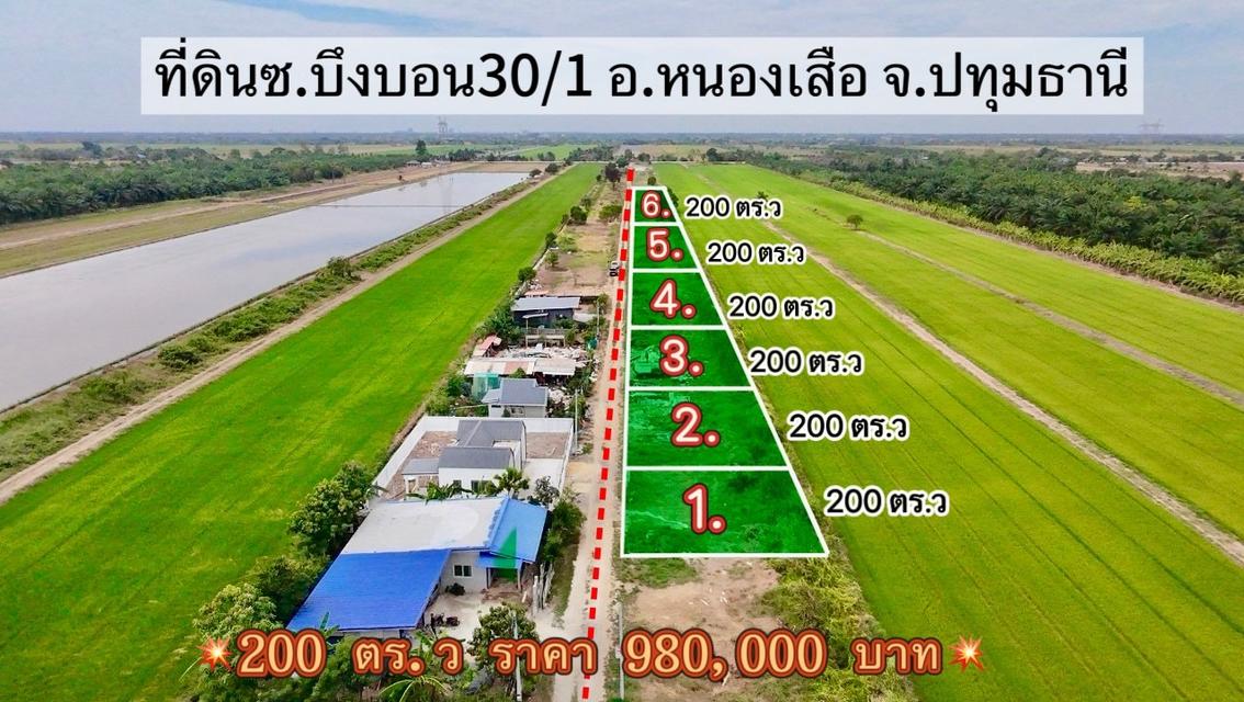 ขายที่ดินคลอง 8 หนองเสือ 200 ตรว. ถมแล้วที่โฉนดนส.4พร้อมโอน จ.ปทุมธานี 2