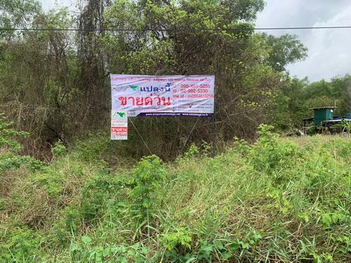 ที่ดินเปล่า 100 ตร.ว. พหลโยธิน87 ซอย6 ต.ประชาธิปัตย์ อ.ธัญบุรี จ.ปทุมธานี 1