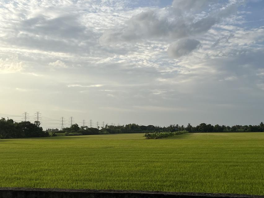 🌿 Land for sale in a fast-developing zone, by owner, title deed ready to transfer, no mortgage 1