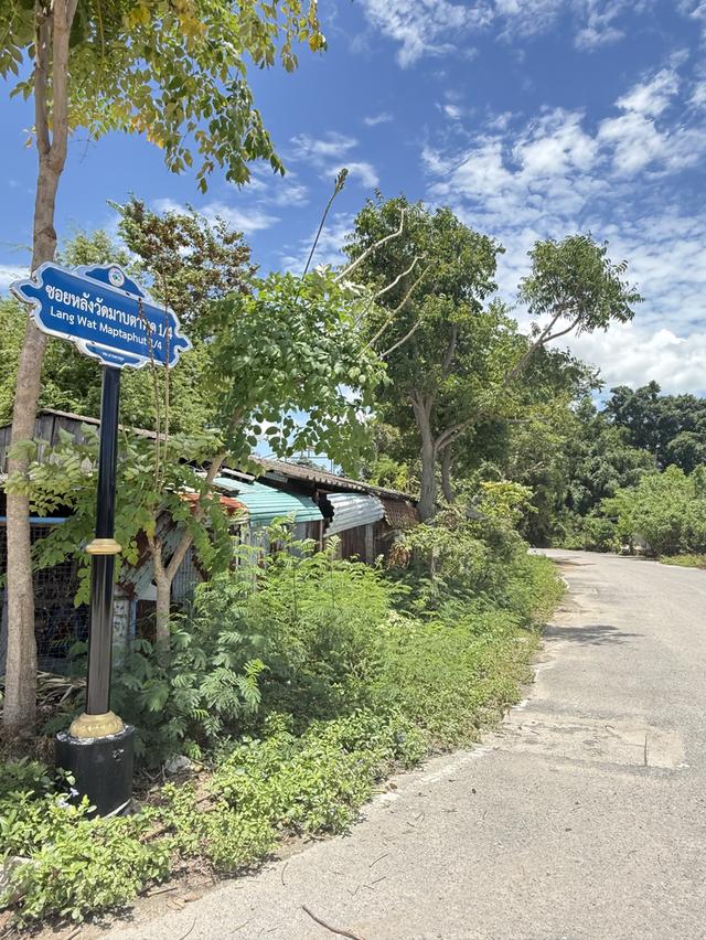 ที่ดินพร้อมบ้านเช่า 3