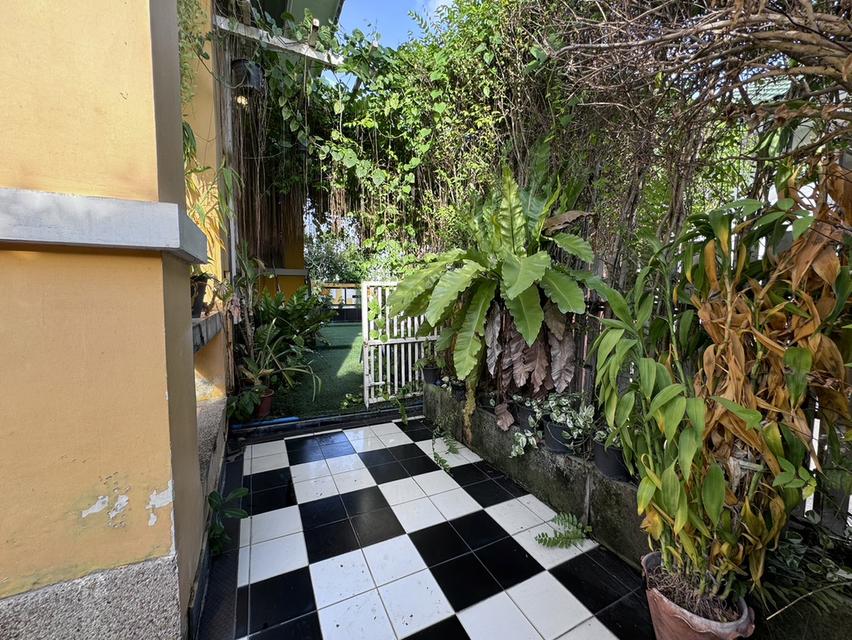 N182 ขายบ้านแฝดชั้นครึ่งบ้านหลังมุม พร้อมเฟอร์ หมู่บ้านสินทรัพย์ 2 ถนนรังสิตนครนายกคลอง 4 บ้านหลังมุมน่าอยู่ตกแต่งแนวสวนแบบธรรมชาติ มีพื้นที่ข้างบ้าน 5