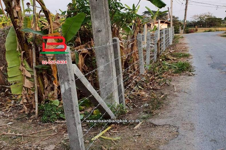 ที่ดินเปล่า  2